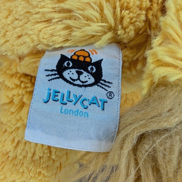 π 2 for 30 π Jellycat Stuffed Lion Plush | Jellycat London - Picture 3 of 4